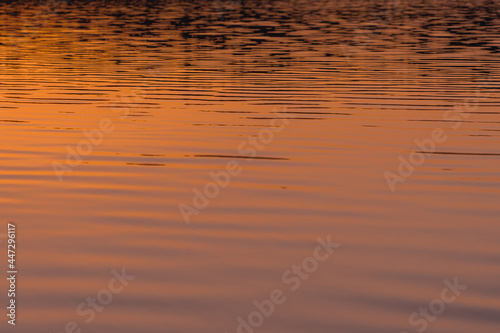 Reflection of the sun in the water. Summer dawn. Close-up