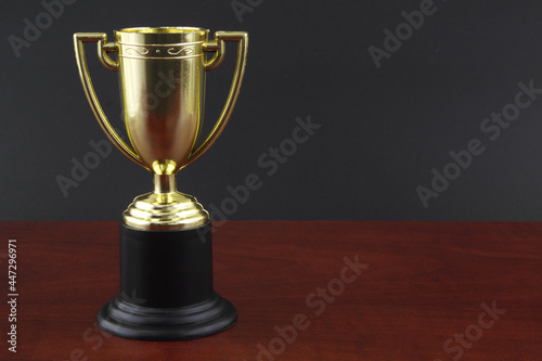 Golden trophy cup with copy space for text