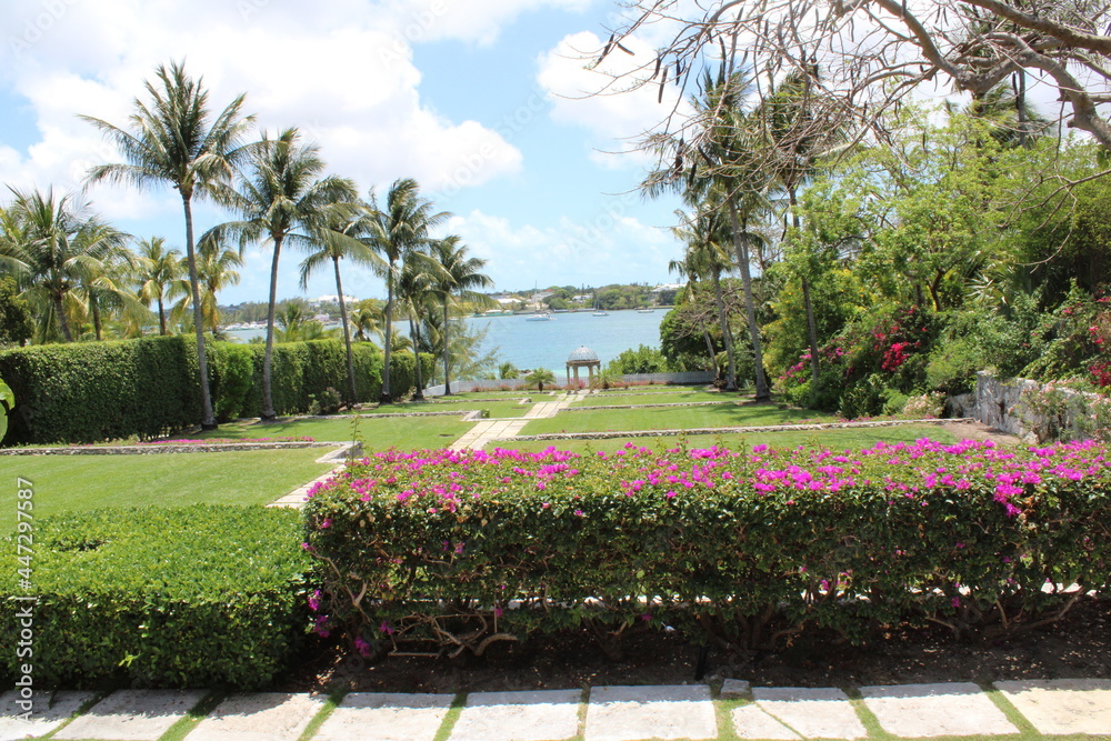 Obraz premium Garden