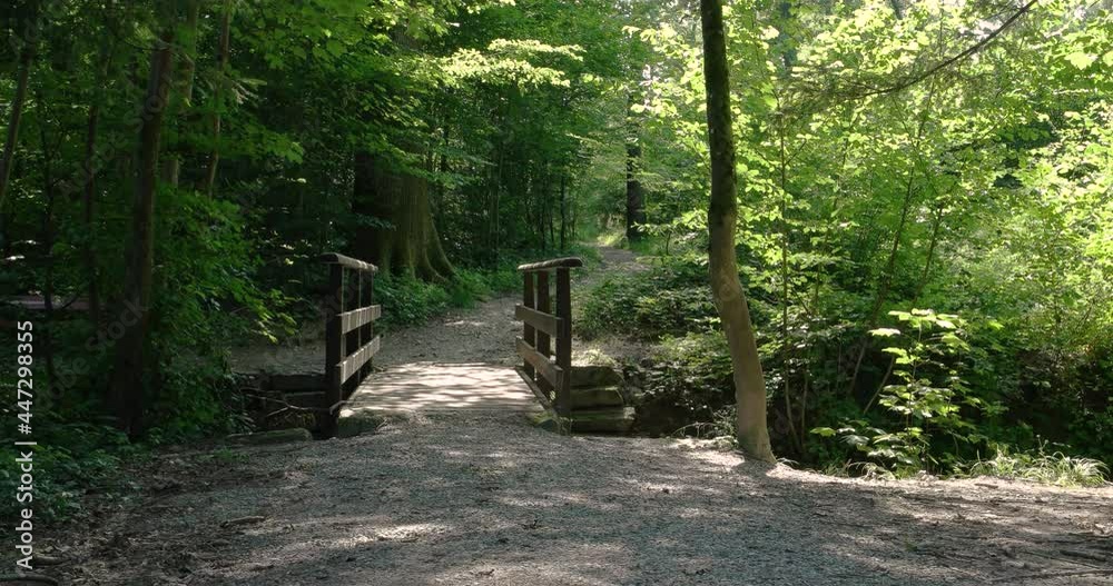 Small old wooden bridge and footpath in the forest. Slider shot, real time, no people, summer Small old wooden bridge and footpath in the forest. Slider shot, real time, no people, summer