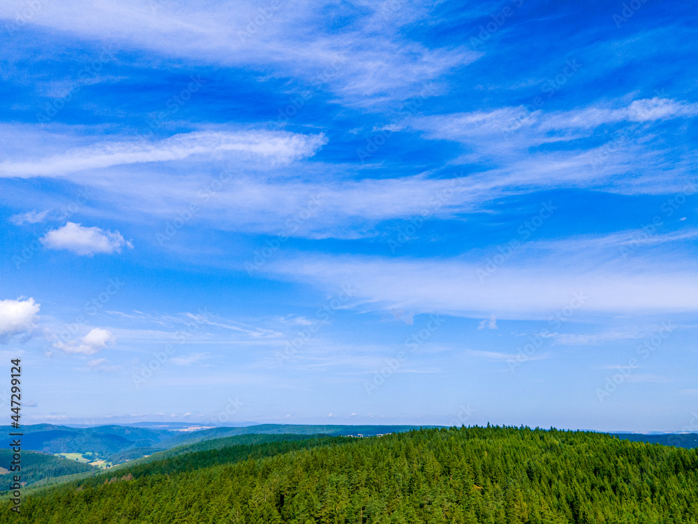 green grass and blue sky