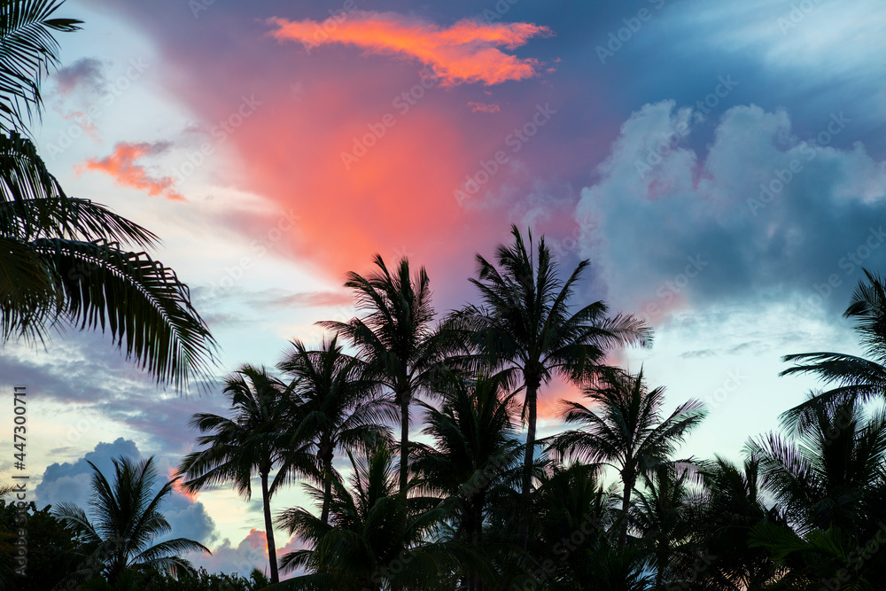 Palm trees silhouettes on tropical beach at vivid sunrise time