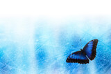 blue butterfly over turquois background like romantic and spiritual topic