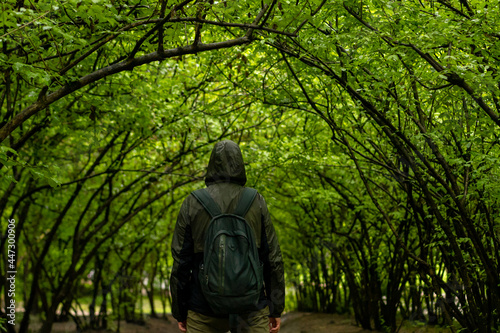 man walking and relaxing in park. Tourist with backpack walking in park. Spending time alone in nature. Peaceful atmosphere. Back view.