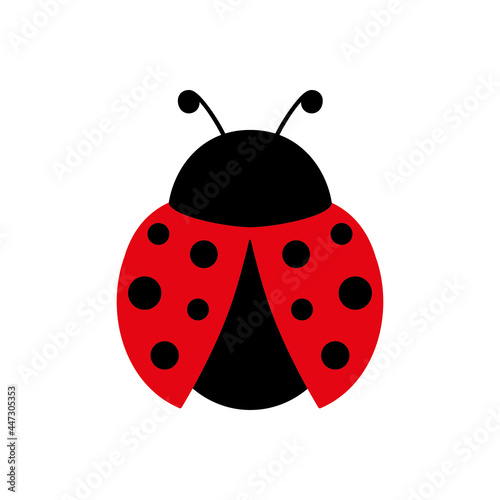Ladybug cute character. Ladybird insect with open wings. Vector isolated on white