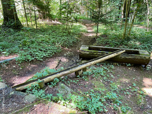 nature walk by the lake, through the woods, up a mountain