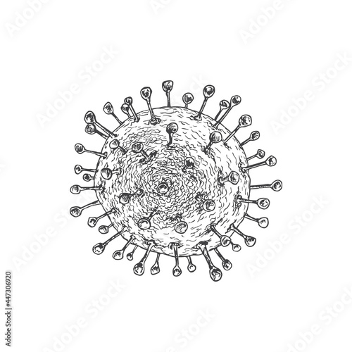 Hand Drawn Corona Virus Vector Illustration. Bacteria Doodle Sketch. Isolated