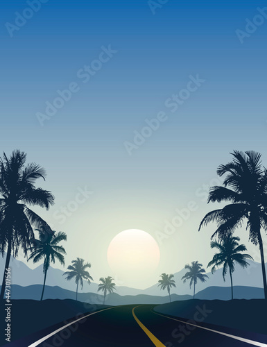 summer paradise road trip beautiful sunset tropical palm