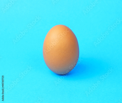 one fresh chicken egg on a blue background