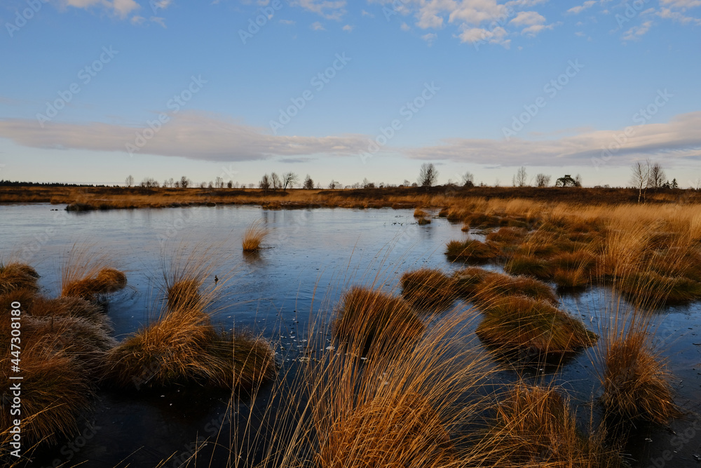 Hohes Venn 8