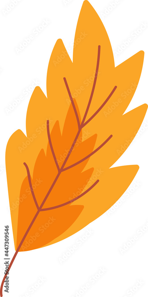 Fototapeta premium Maple dried orange leaf garden eco nature vector
