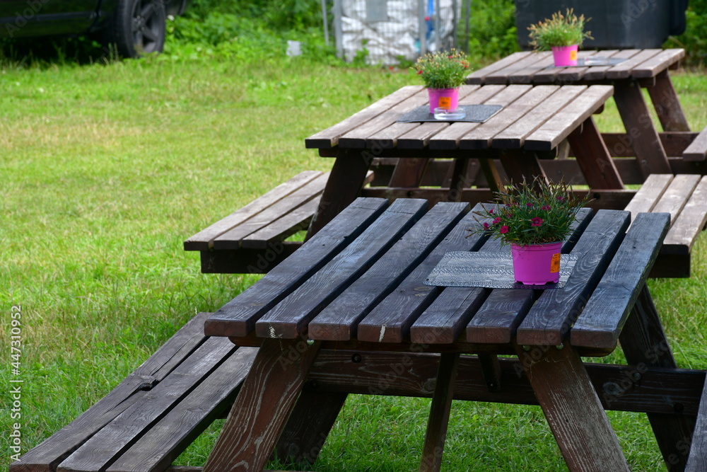 A close up on three wooden tables made out of planks, logs, boards, and metal hinges with some red flower pots standing on them and flowers growing out of them seen on a sunny summer day in Poland