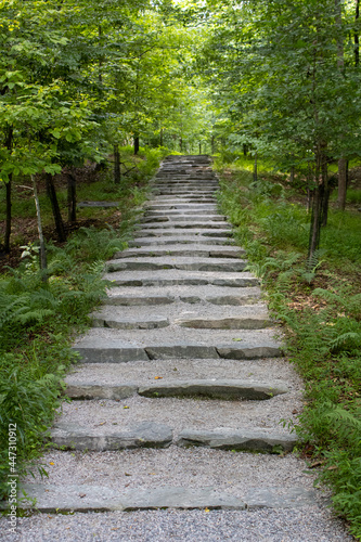Stone path up into the forest © Marissa