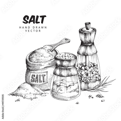 Sea salt in shakers and canvas bag, engraving vector illustration isolated.
