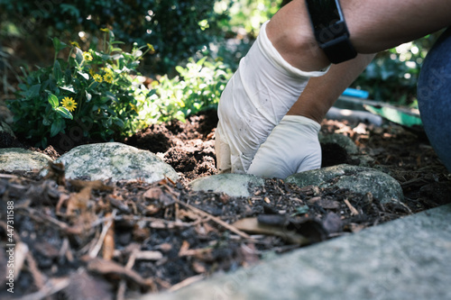 human hand with white protection gloves while gardening