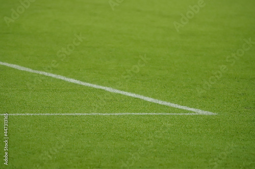 Synthetic grass of a football field with white lines at the entrance to the penalty area 