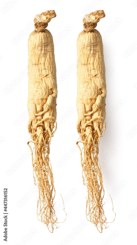 Dried ginseng isolated on white background, top view Dried ginseng isolated on white background, top view