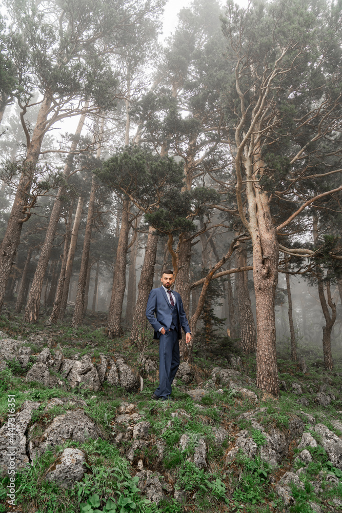 attractive man with beard in business suit stands in the mountain forest attractive man with beard in business suit stands in the mountain forest