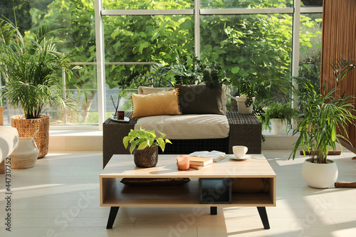 Indoor terrace interior with modern furniture and houseplants