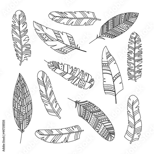 Set of vector feathers in boho style with geometric ornaments. Line art