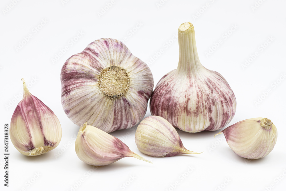 Obraz premium Garlic heads and cloves isolated on a white background.