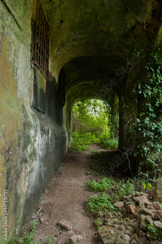 Fototapeta Naklejka Na Ścianę i Meble -  Passage inside a ruined convent