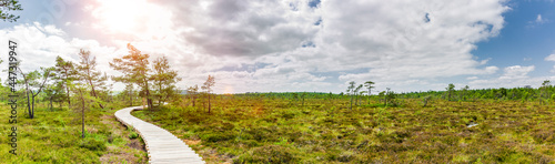Holzweg durch das Schwarze Moor in der Rhön