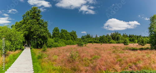 Moorweg durch das Schwarze Moor in der Rhön
