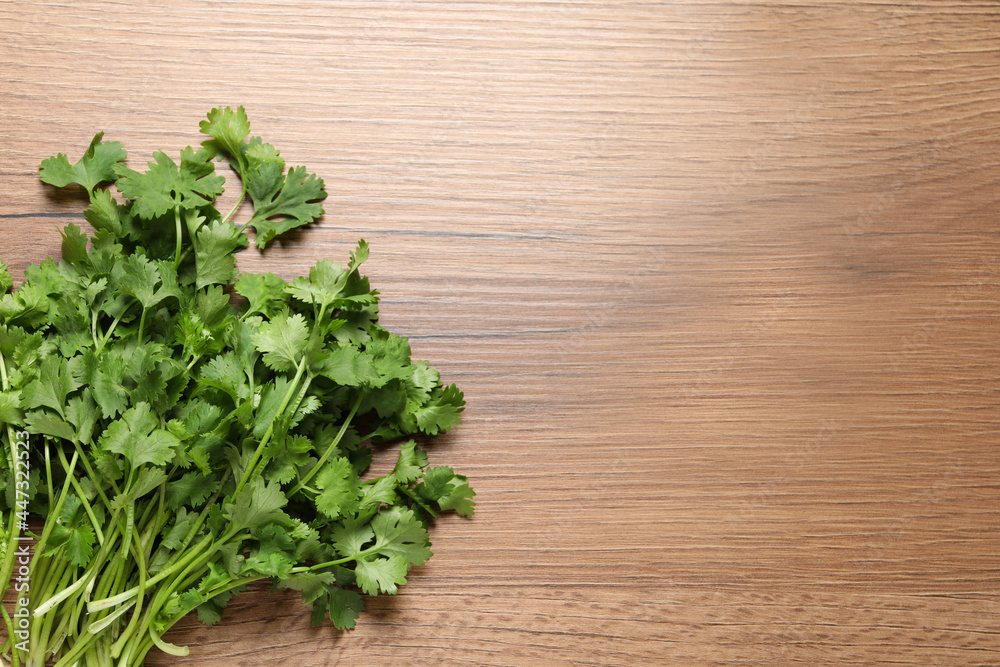 Bunch of fresh aromatic cilantro on wooden table, top view. Space for text Bunch of fresh aromatic cilantro on wooden table, top view. Space for text