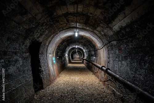 Old European tunnel © olexmelnyk