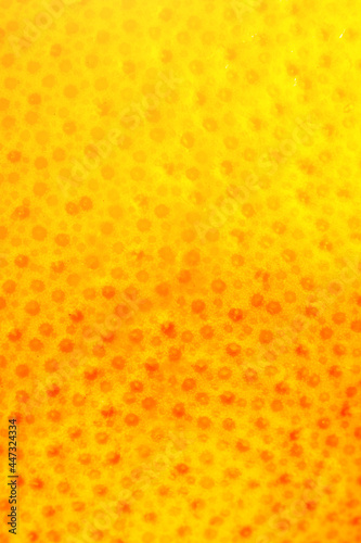 Close up photo of Grapefruit peel texture. Exotic ripe fruit  orange background  macro view. Human skin problem concept  acne and cellulite. Beautiful nature wallpaper.