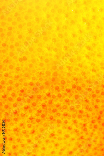 Wallpaper Mural Close up photo of Grapefruit peel texture. Exotic ripe fruit, orange background, macro view. Human skin problem concept, acne and cellulite. Beautiful nature wallpaper. Torontodigital.ca