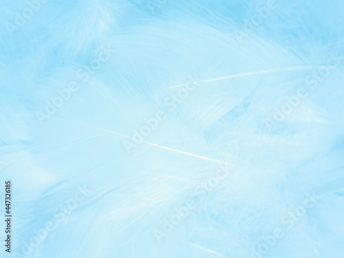 Beautiful abstract blue feathers on white background, white feather texture and blue background, feather wallpaper, blue texture banners, love theme, valentines day, light blue texture, white gradient © Weerayuth