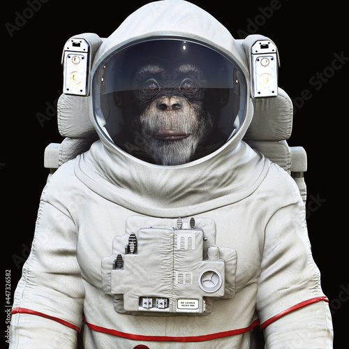 Photography Monkey astrochimp posing in a spacesuit with a black background