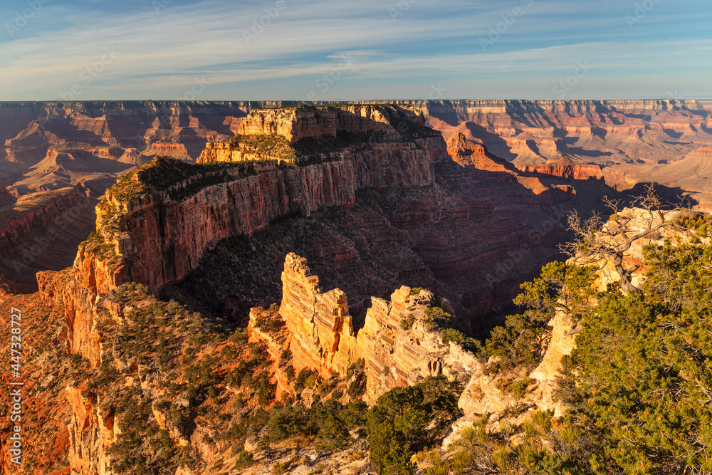 View from Cape Royal, North Rim, Grand Canyon National Park, UNESCO World Heritage Site, Arizona View from Cape Royal, North Rim, Grand Canyon National Park, UNESCO World Heritage Site, Arizona