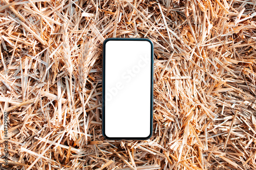 Close-up of smartphone with mockup on background of dry wheat.