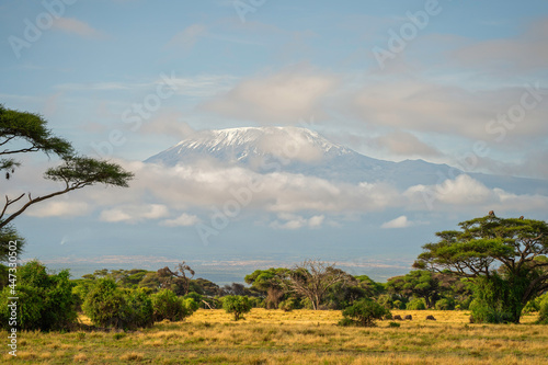 Mount Kilimanjaro from Amboseli National Park, Kenya photo