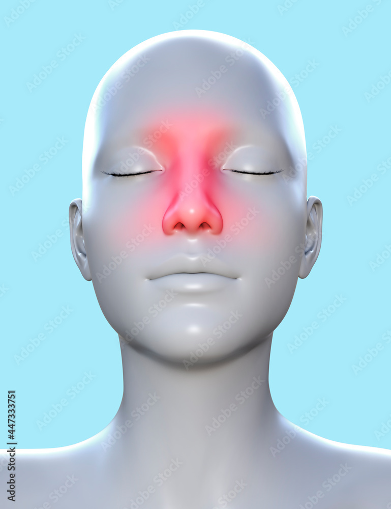 3d render illustration of female face with red inflammated nasal area on blue background, otolaryngology clinic concept. 3d render illustration of female face with red inflammated nasal area on blue background, otolaryngology clinic concept.