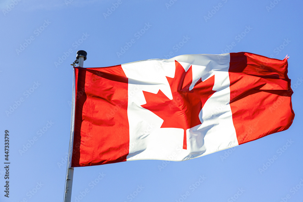 Naklejka premium The Canadian national flag fllying against a clear blue sky.