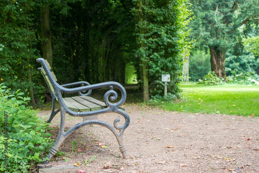 bench in a summer park
