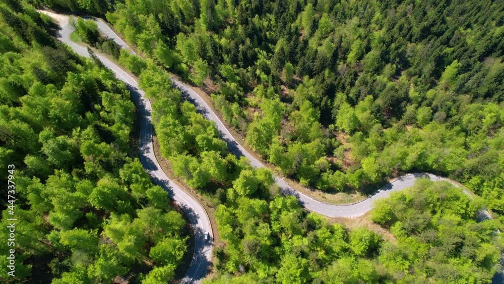 AERIAL: Flying above a switchback road running across an idyllic green forest. Car on leisurely road trip in the Slovenian woods drives along an empty road with sharp turns. Scenic forest route. AERIAL: Flying above a switchback road running across an idyllic green forest. Car on leisurely road trip in the Slovenian woods drives along an empty road with sharp turns. Scenic forest route.