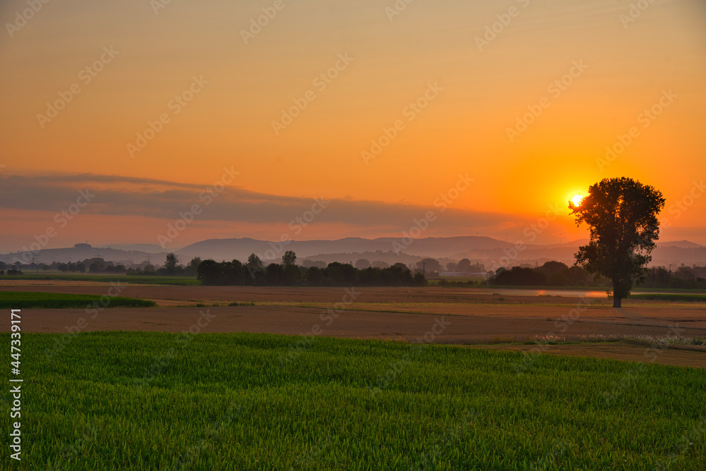 Sonnenaufgang in der Ortenau nahe Mahlberg