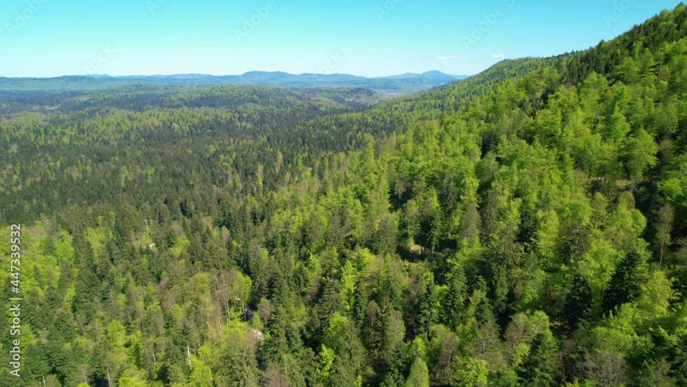 AERIAL: Breathtaking flying view of the endless forests covering the lush valley in the Slovenian countryside. Drone shot of countless vibrant trees sprawling across the breathtakingly vast valley. AERIAL: Breathtaking flying view of the endless forests covering the lush valley in the Slovenian countryside. Drone shot of countless vibrant trees sprawling across the breathtakingly vast valley.