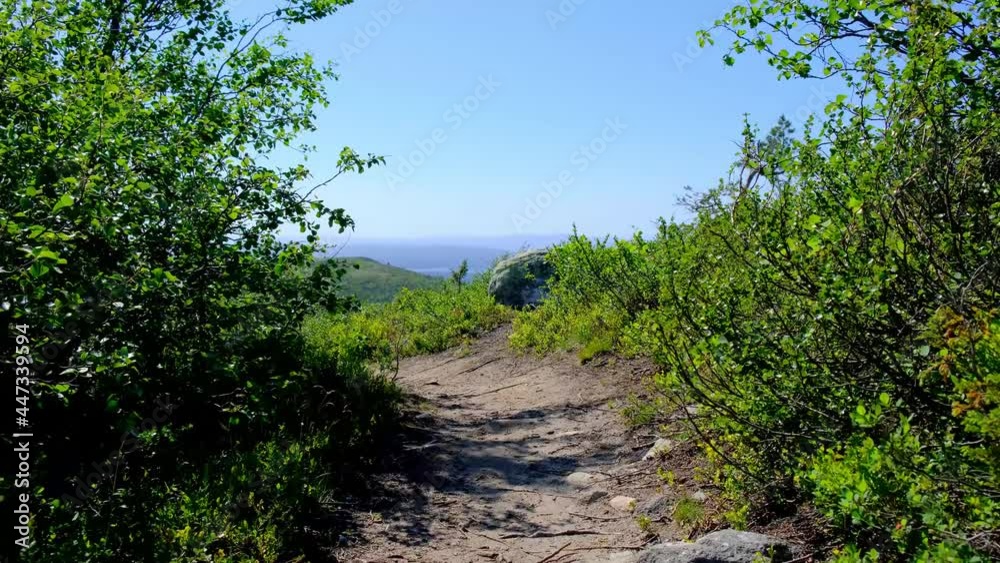 A tourist with a backpack walks along a path along the sea through the forest. A tourist with a backpack walks along a path along the sea through the forest.