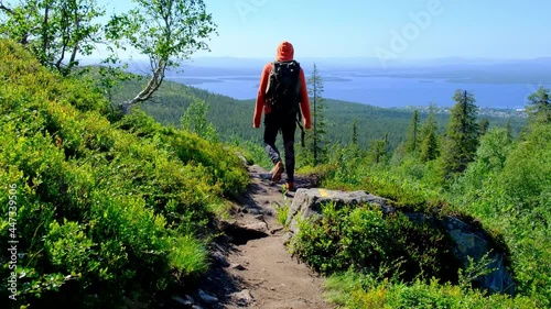 A tourist with a backpack walks along a path along the sea through the forest.