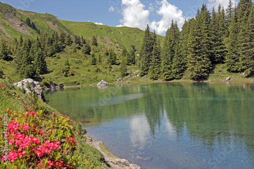 Elsigensee. Alpen  Schweiz