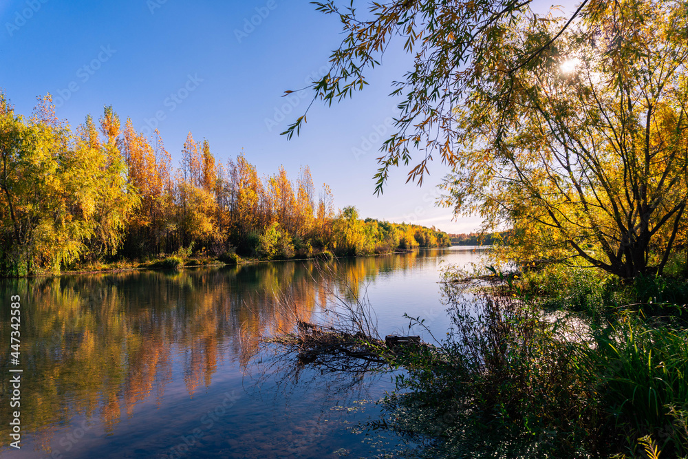 Obraz premium autumn trees reflected in water