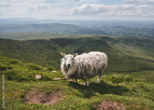 Pen Y Fan - Mountain in Wales, UK