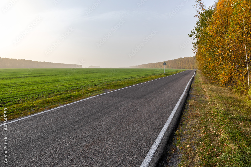 country road in autumn at fog