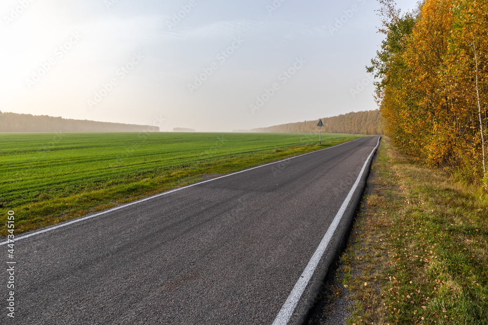 country road in autumn at fog country road in autumn at fog